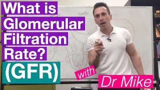 Glomerular Filtration Rate GFR  Renal System [upl. by Ahselaf]