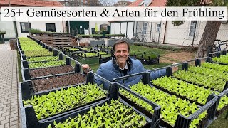 GEMÜSEVIELFALT zum Frühlingsbeginn 🌞 25 Arten die JETZT ins Beet gehören [upl. by Anua]