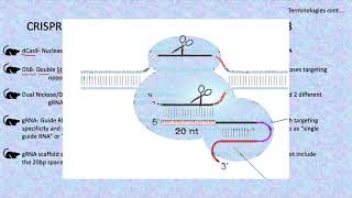 CRISPR Cas9 Gene Editing Design Your Project Part 3 Basic Terminologies [upl. by Katie]