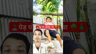 🌳पेड़ पोर लोटोक गया🙆‍♀️ shortytshorts kides kiddies shortvideos kide video kidesshort [upl. by Peggy]