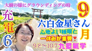 9月の【六白金星】さん！【九星氣学】は【開運】メッセージ！2023年9月8日から10月7日の運勢！【占い】今月はしっかり充電！一休みが重要！大樹の様にしっかりグラウンディングしよう！ [upl. by Corrinne727]