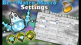 BEST 2024 Natro Macro Settings for BLUE hives [upl. by Kreiner]