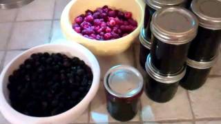 How I make Black Raspberry Jelly [upl. by Inatsed]