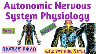 Autonomic Nervous System Physiology NS module Part 7 New Ethiopian Curriculum in Amharic Speech [upl. by Gayelord]