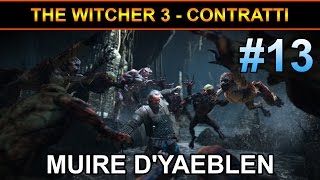 The Witcher 3  Contratti 13 Muire DYaeblen [upl. by Sibyl447]