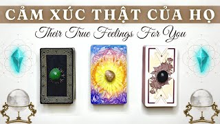 💞CẢM XÚC amp SUY NGHĨ THẬT CỦA HỌ DÀNH CHO BẠN CHI TIẾT👀🔮  The Merlin Tarot [upl. by Ankney675]