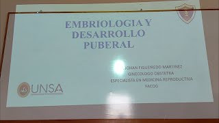 Gynecology  Embryology of the Reproductive System amp Pubertal Development  Spanish [upl. by Philemon834]