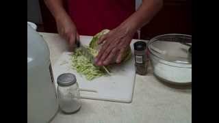 Fresh Cabbage ColeSlaw Dressing Recipe [upl. by Llesig803]