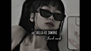 Shilla Ki Jawanislowed reverbSonglight lofi 🥵 [upl. by Arrahs]