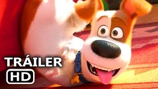 LA VIDA SECRETA DE TUS MASCOTAS 2 Tráiler Español 2019 [upl. by Morgan85]