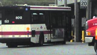 View of TTC Queensway Bus Garage [upl. by Alesig972]