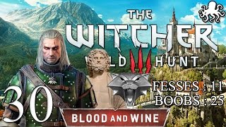 The Witcher 3  Blood and Wine 30  Pour Lebioda   Lets Play FR [upl. by Verile727]