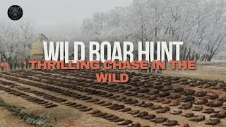 Wild boar hunt Hunting the most destructive creatures in the wild [upl. by Alyat]