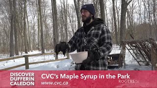 Discover DufferinCaledon  CVC Maple Syrup in the Park  Rogers tv [upl. by Avirt]