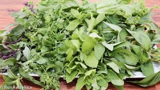 A Quick Guide to Vietnamese Herbs [upl. by Anaerdna298]