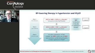 19 What the 2023 Guidelines for the Management of Arterial Hypertension Say Costas Tsouifis [upl. by Eaver372]