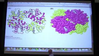 05 Biochemistry Protein TertiaryQuaternary Structure Lecture for Kevin Aherns BB 450550 [upl. by Cavill]