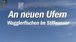 Wagglerfischen im Stillwasser Blinker History [upl. by Delphina248]