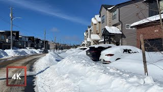 PUNCHEON WY  HALIFAX  CANADA NOVA SCOTIA 4K WALKTHROUGH [upl. by Hall229]