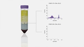 Cell Isolation in One Spin Using SepMate™ Tubes and RosetteSep™ Cell Separation Reagents [upl. by Trinetta]