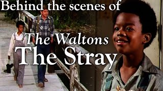 The Waltons  The Stray episode  behind the scenes with Judy Norton [upl. by Aicilla524]