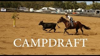 CAMPDRAFT AUSTRALIA [upl. by Longley386]