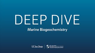 Deep Dive Marine Biogeochemistry with Julia Diaz [upl. by Fredela652]