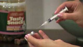 How to Vaccinate Your Dog at Home DrsFosterSmith [upl. by Angele]