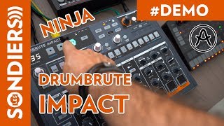 DRUMBRUTE IMPACT  Les réglages Ninja avec Arturia MIDI Control Center [upl. by Eicam]