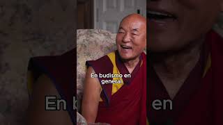 Parte 13  ¿Budismo y Ciencia dicen lo mismo  Entrevista Dr Manuel Sans y Lama Thubten Wangchen [upl. by Meijer]