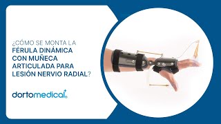 ¿Cómo se monta la Férula Dinámica con Muñeca Articulada para Lesión Nervio Radial  Dortomedical [upl. by Meeki404]