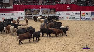 Metallic Rey Mink 2019 NCHA Open Futurity Finals [upl. by Ordnaxela]