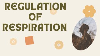 Regulation of Respiration  Respiratory Centers  Chemical control of respiration [upl. by Ayitahs]