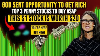 According To Billionaires Formula Top 3 Penny Stocks To Buy Now To 20x Your Wealth Next Year [upl. by Iralam152]