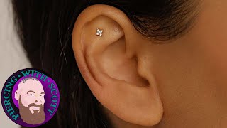 Piercing my cartilage at home  Helix piercing [upl. by Deutsch]