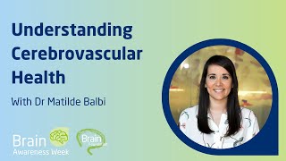 Understanding Cerebrovascular Health  Dr Matilde Balbi [upl. by Sharon]