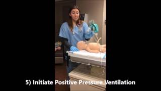 Neonatal Resuscitation Skill Demo Higher Quality [upl. by Elgar845]