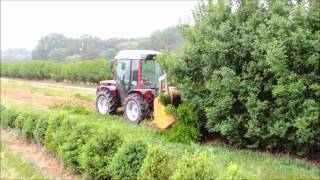 Antonio Carrero TRH 9400 with Flail mower [upl. by Briano791]