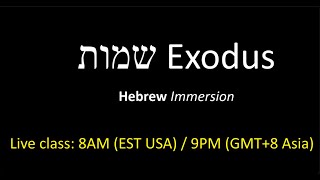 Biblical Hebrew immersion  Hebrew Exodus 262325 amp Psalm 115 biblicalhebrew immersion [upl. by Dj]