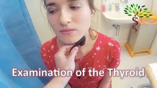 Examination of the Thyroid Gland  OSCE [upl. by Conger]