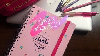 PROS y CONTRAS de las NUEVAS AGENDAS ANUALES MR WONDERFUL 2020  DÍA POR PÁGINA  LetiihCullen♡ [upl. by Tletski334]