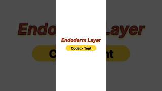 Endoderm layer [upl. by Heng]