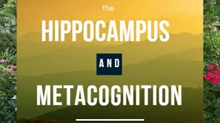 The Hippocampus and Metacognition [upl. by Sukramal]