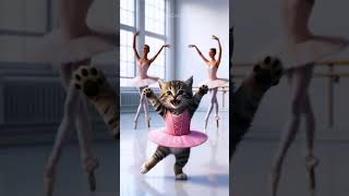 The kitten wants to be a ballerina cat cats kitten cute story [upl. by Llimaj]