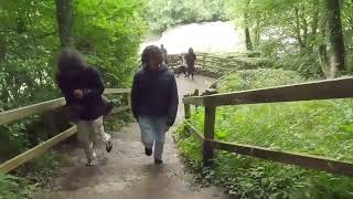 Aysgarth falls National Park [upl. by Akcirehs]