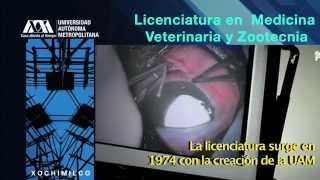 Visita a la facultad de Medicina Veterinaria y Zootecnia UNAM [upl. by Annaiek]