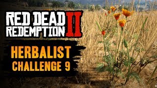 Red Dead Redemption 2 Herbalist Challenge 9 Guide  Pick one of each species of herb [upl. by Lennon]