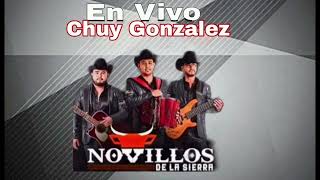 Chuy Gonzalez  Novillos De La Sierra [upl. by Quartis]