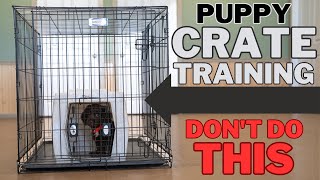 Everything You Need To Know About Crate Training  Pro Tips amp Tricks [upl. by Amilas]