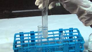 Chemical Tests for Carbonate  MeitY OLabs [upl. by Niwrud494]